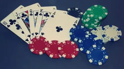 venus casino